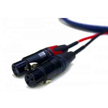 Y 3.5mm stereo mini Jack to 2x3-pin XLR Female